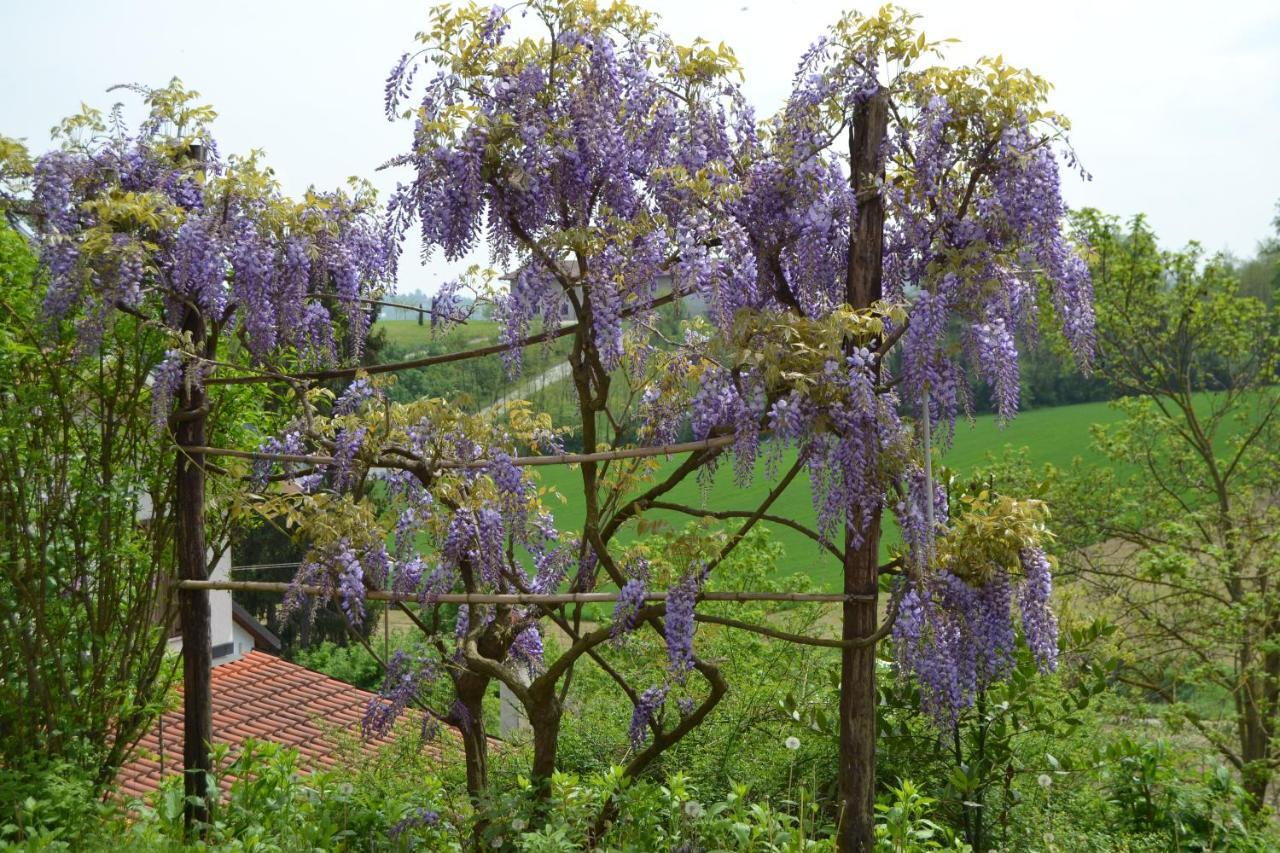 Casa Dei Ciliegi Castell'Alfero别墅 外观 照片